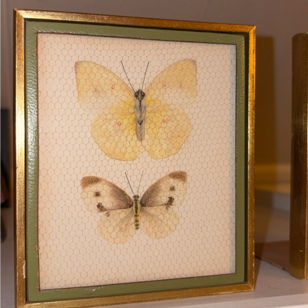Framed Butterfly Art with Gold Frame